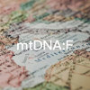 母系单倍群F